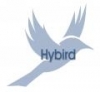 Jean-Michel ARMAND - HYBIRD Jean-Michel ARMAND - HYBIRD